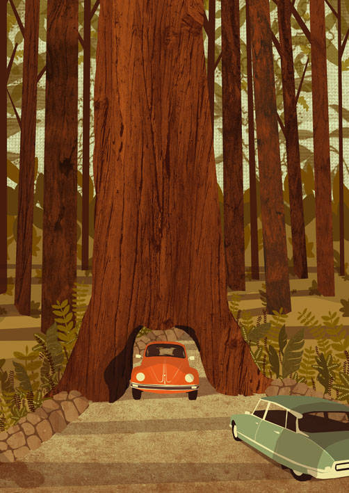 VW Tree Tunnel Card