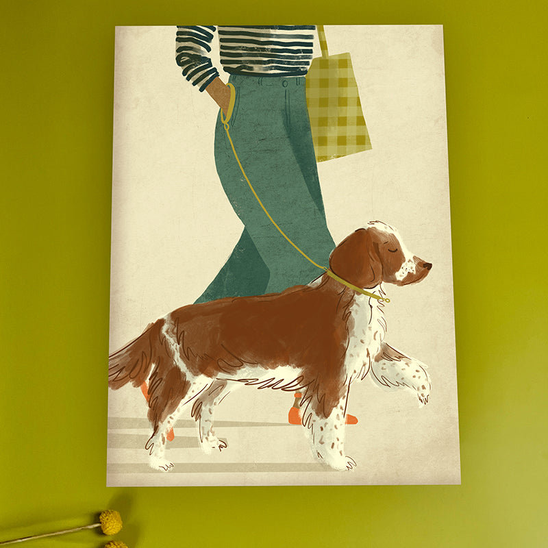 Welsh Springer Spaniel Dog A3 Print